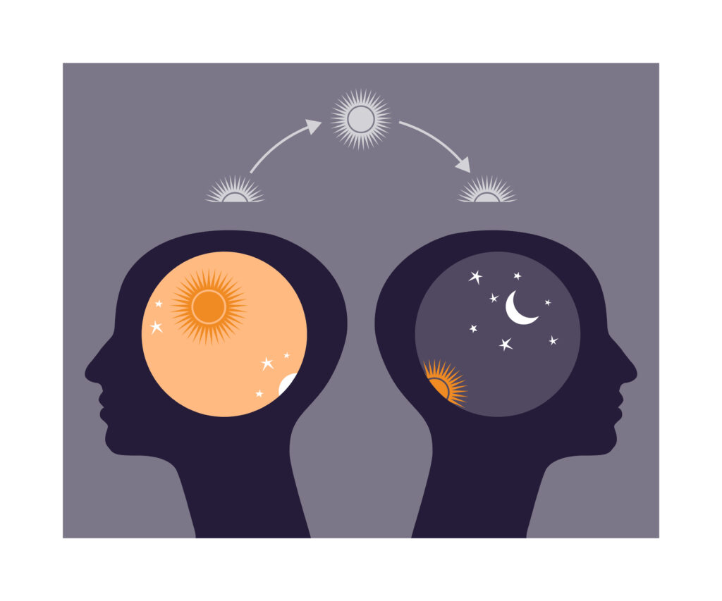 Two head silhouettes with day and night symbols. Concept of circadian rhythm. Difference between early risers and late sleepers.